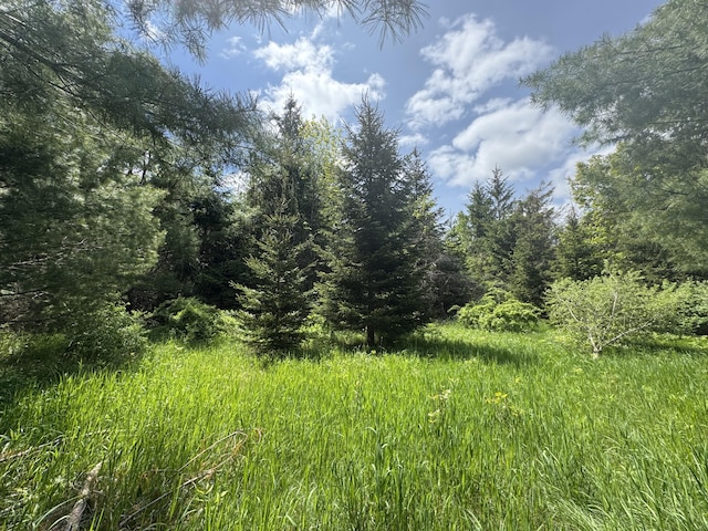 LOT2 E E W Resort Rd, Alanson, MI 49706 - photo 3