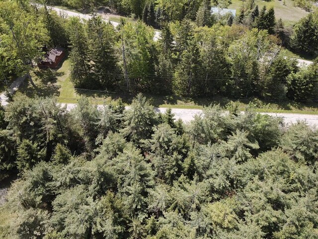 LOT2 E E W Resort Rd, Alanson, MI 49706 - photo 5