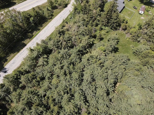 LOT2 E E W Resort Rd, Alanson, MI 49706 - photo 6