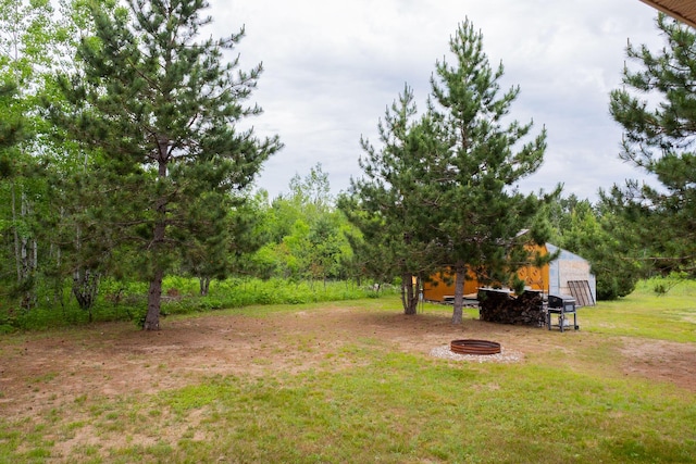 4696 Glacial Field Dr, Elmira, MI 49730 - view of green lawn with an outbuilding