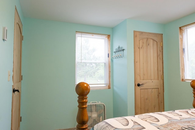 4696 Glacial Field Dr, Elmira, MI 49730 - view of bedroom