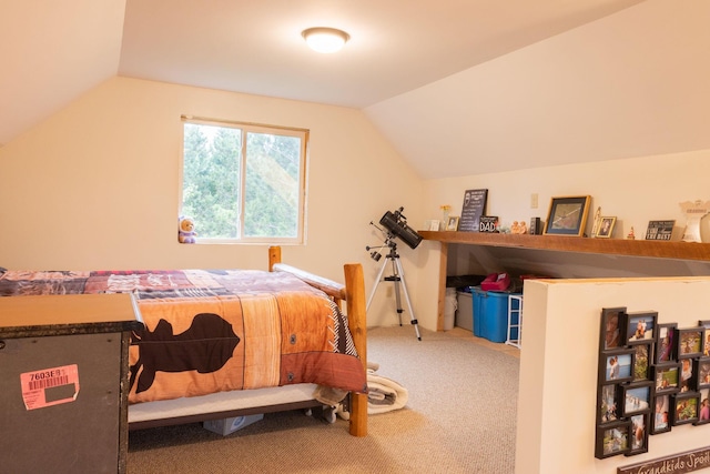 4696 Glacial Field Dr, Elmira, MI 49730 - bedroom with lofted ceiling and carpet flooring
