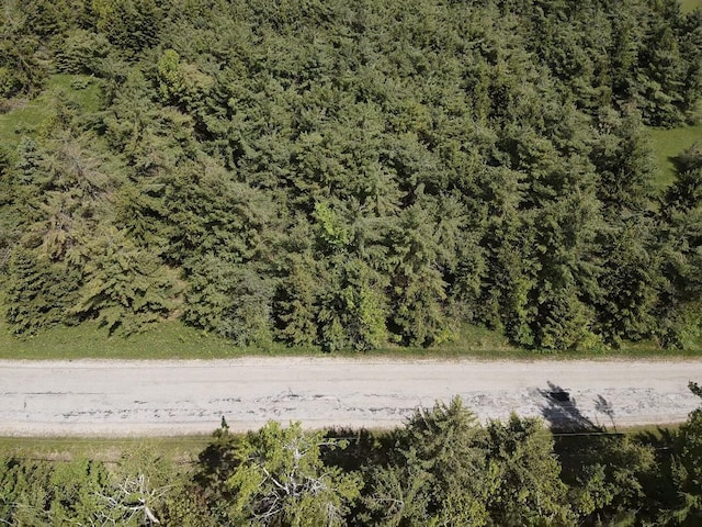 LOT3 E E W Resort Rd, Alanson, MI 49706