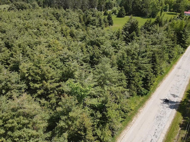 LOT3 E E W Resort Rd, Alanson, MI 49706