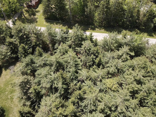 LOT3 E E W Resort Rd, Alanson, MI 49706