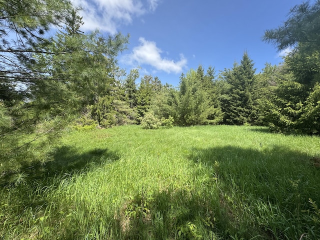 LOT3 E E W Resort Rd, Alanson, MI 49706