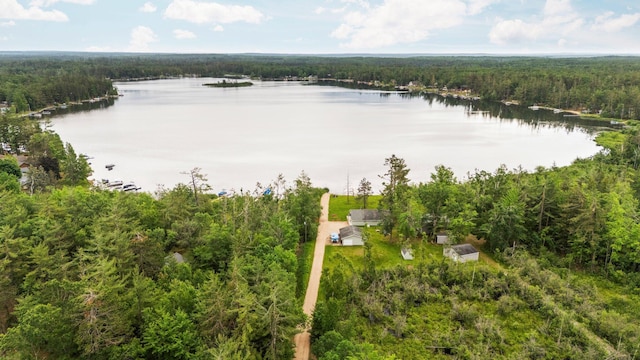 4670 Oakwood Dr, Lewiston, MI 49756 - photo 41
