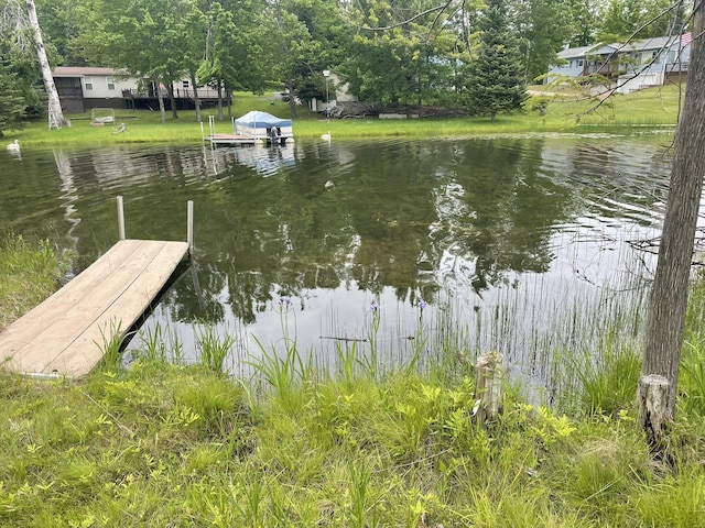 3448 High Pine Ct, Wolverine, MI 49799 - photo 2