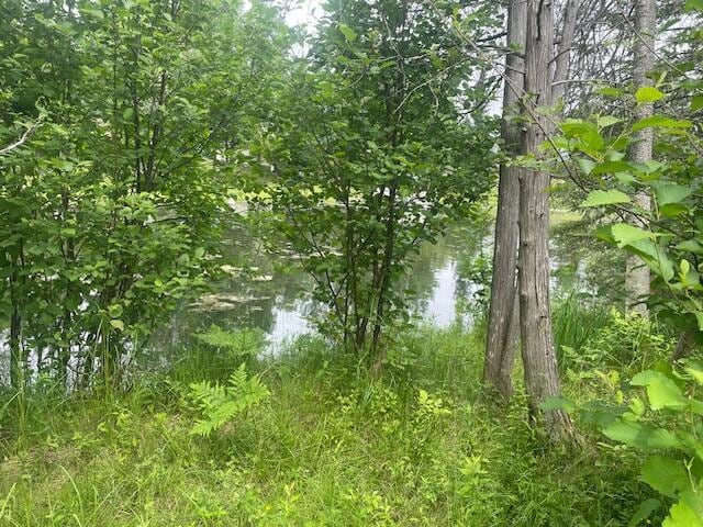 3448 High Pine Ct, Wolverine, MI 49799 - photo 12