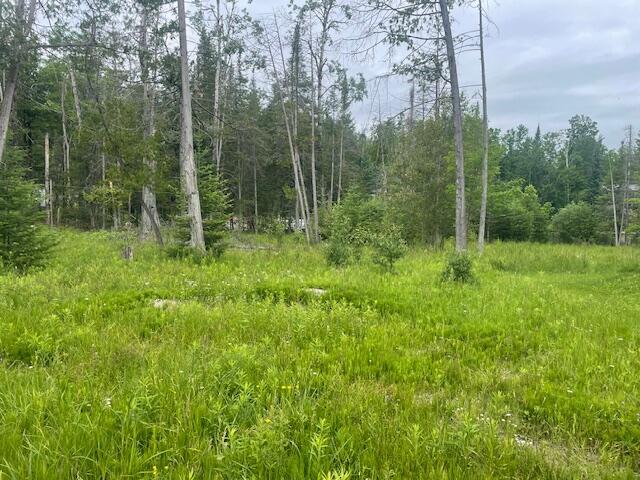 3448 High Pine Ct, Wolverine, MI 49799 - photo 16