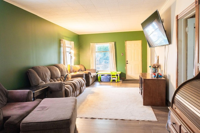 210 N Maple St, Mancelona, MI 49659 - living room with ornamental molding and wood finished floors