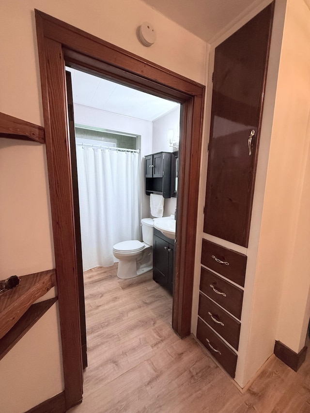 3628 Rau Rd, West Branch, MI 48661 - bathroom with wood finished floors, vanity, and a shower with curtain