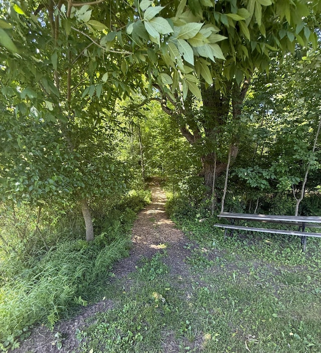 3628 Rau Rd, West Branch, MI 48661 - view of nature