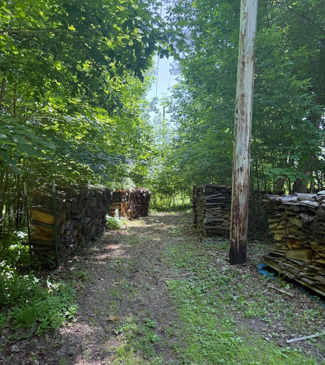 3628 Rau Rd, West Branch, MI 48661 - view of yard