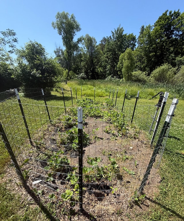 3628 Rau Rd, West Branch, MI 48661 - view of yard featuring a vegetable garden