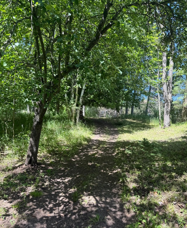 3628 Rau Rd, West Branch, MI 48661 - view of undeveloped land