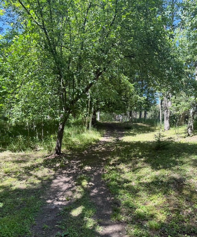 3628 Rau Rd, West Branch, MI 48661 - view of street