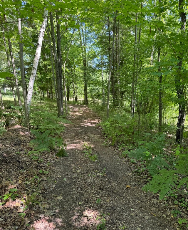 3628 Rau Rd, West Branch, MI 48661 - view of nature