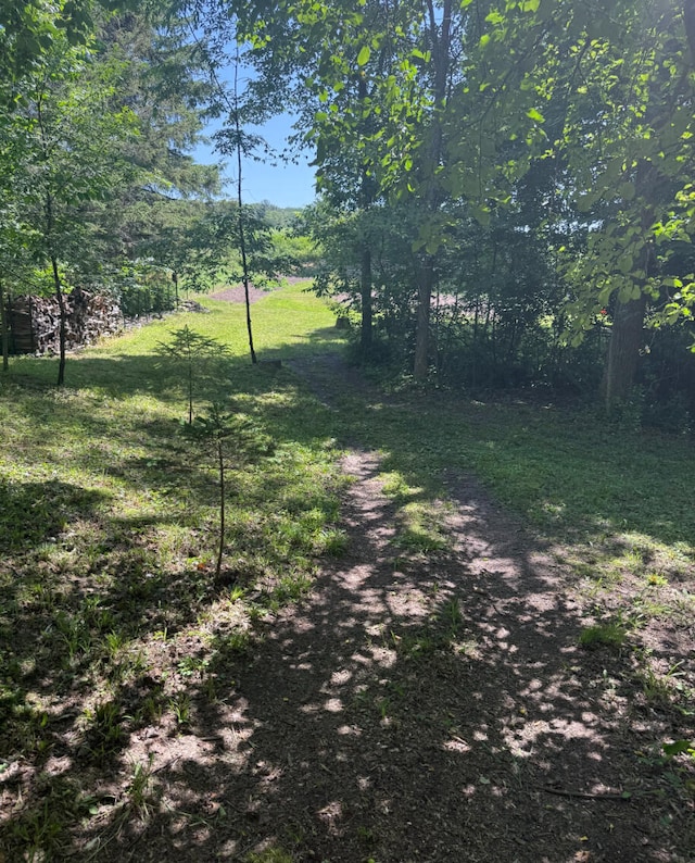 3628 Rau Rd, West Branch, MI 48661 - view of street