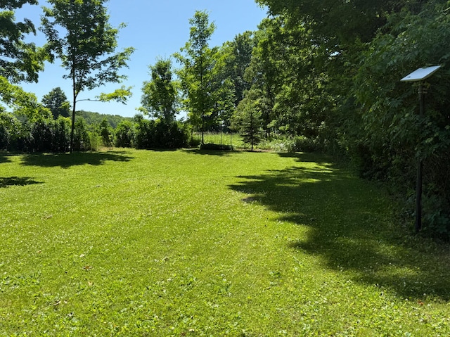 3628 Rau Rd, West Branch, MI 48661 - view of grassy yard
