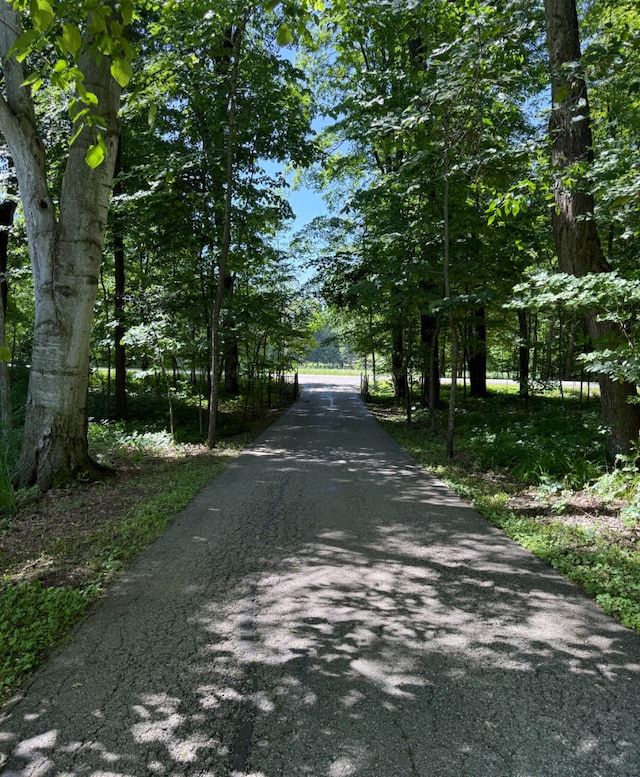 3628 Rau Rd, West Branch, MI 48661 - view of street