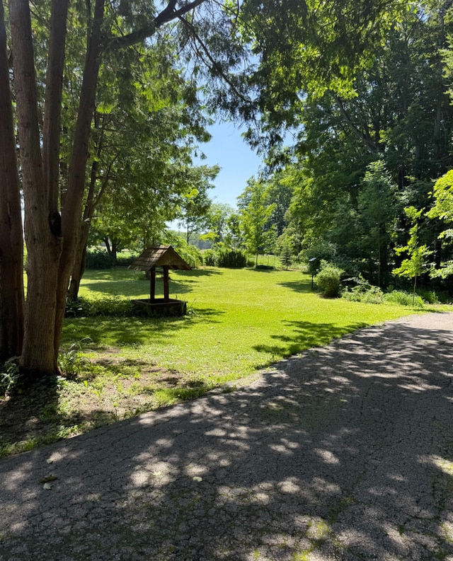 3628 Rau Rd, West Branch, MI 48661 - view of home's community featuring a lawn