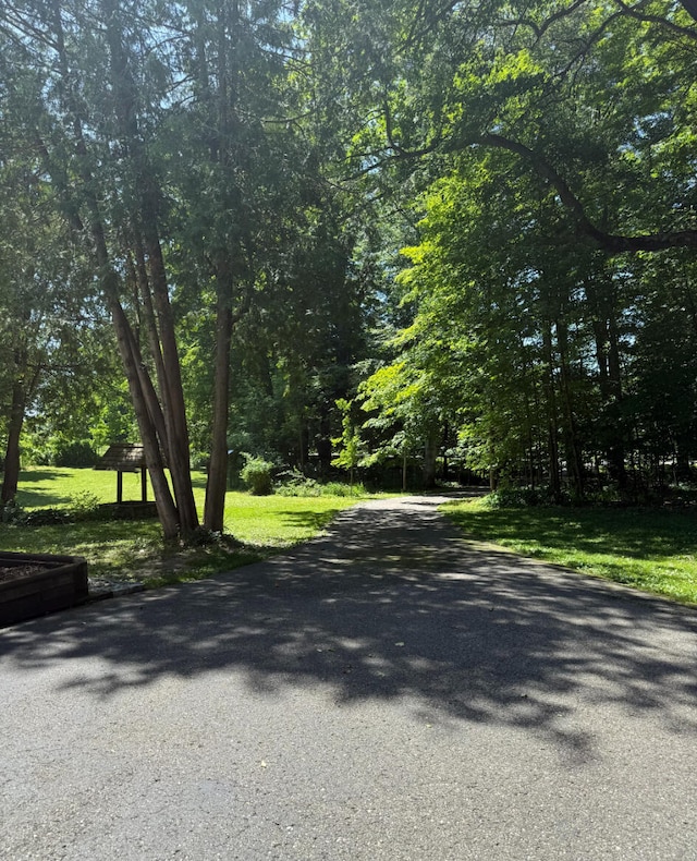 3628 Rau Rd, West Branch, MI 48661 - view of road