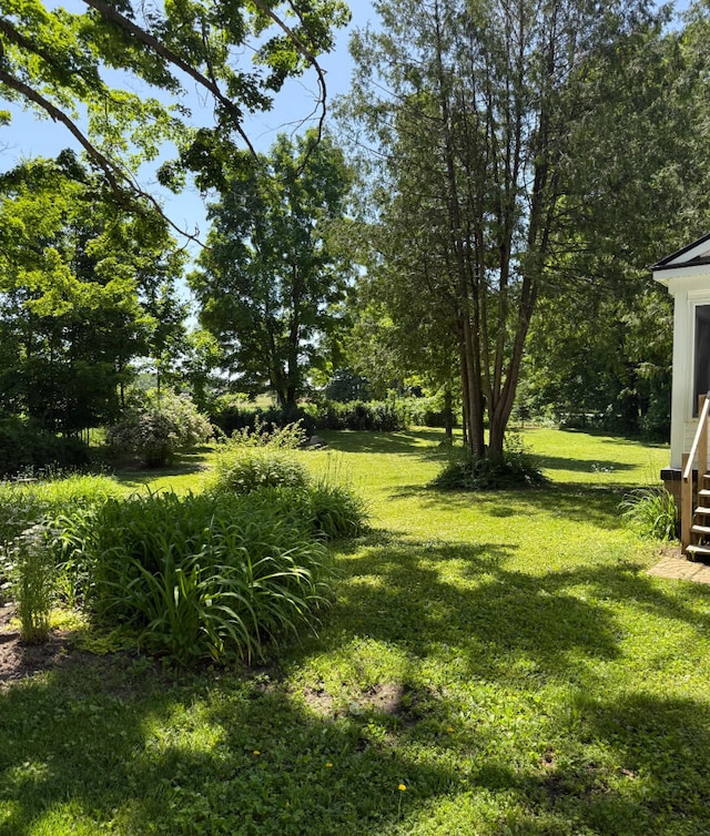 3628 Rau Rd, West Branch, MI 48661 - view of grassy yard