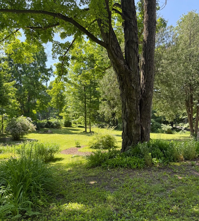 3628 Rau Rd, West Branch, MI 48661 - view of green lawn