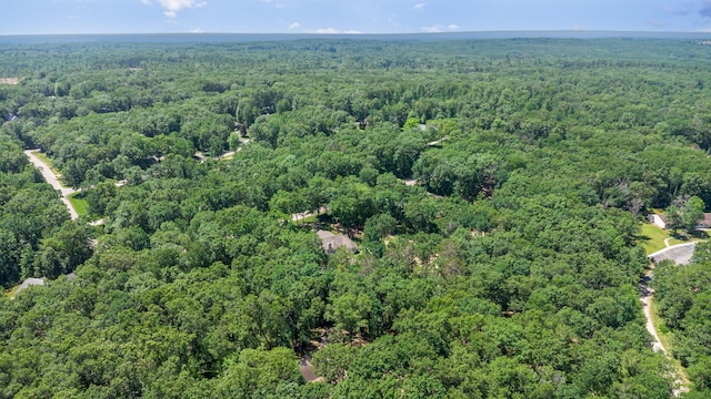 118 Frisco Dr, Houghton Lake, MI 48629 - bird's eye view of a heavily wooded area