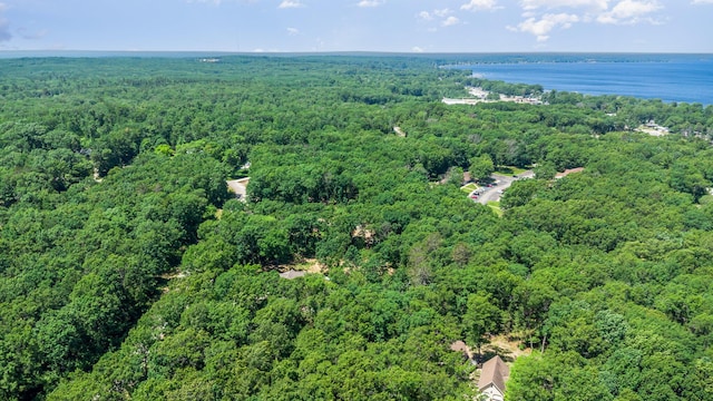 118 Frisco Dr, Houghton Lake, MI 48629 - aerial view of property and surrounding area with a forest and a large body of water