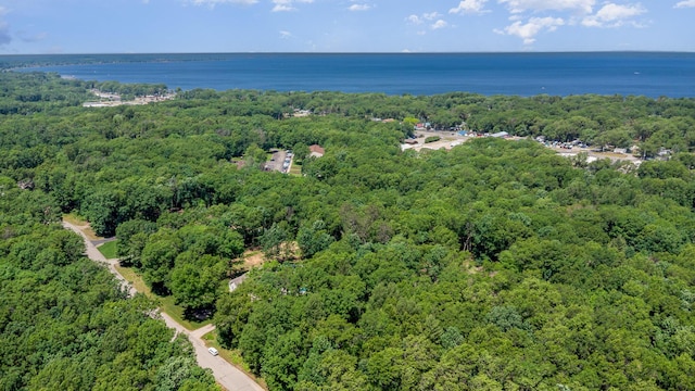 118 Frisco Dr, Houghton Lake, MI 48629 - aerial view of a forest and a nearby body of water