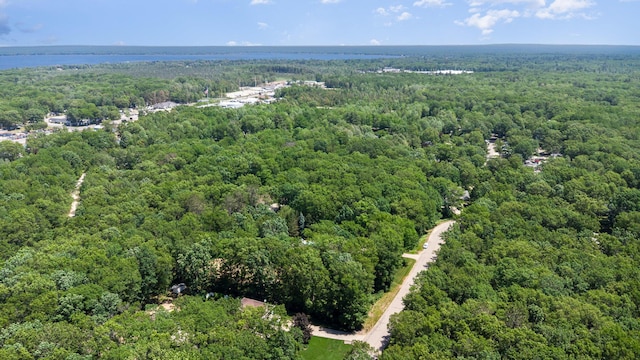 118 Frisco Dr, Houghton Lake, MI 48629 - drone / aerial view of a heavily wooded area and a large body of water