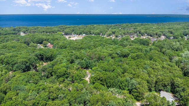 118 Frisco Dr, Houghton Lake, MI 48629 - aerial overview of property's location featuring a heavily wooded area and a large body of water