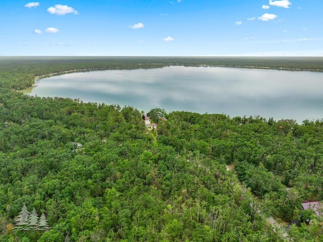 2801 Cobb Rd, Lewiston, MI 49756 - drone / aerial view of a forest and a large body of water