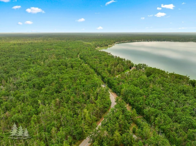 2801 Cobb Rd, Lewiston, MI 49756 - bird's eye view of a forest and a nearby body of water