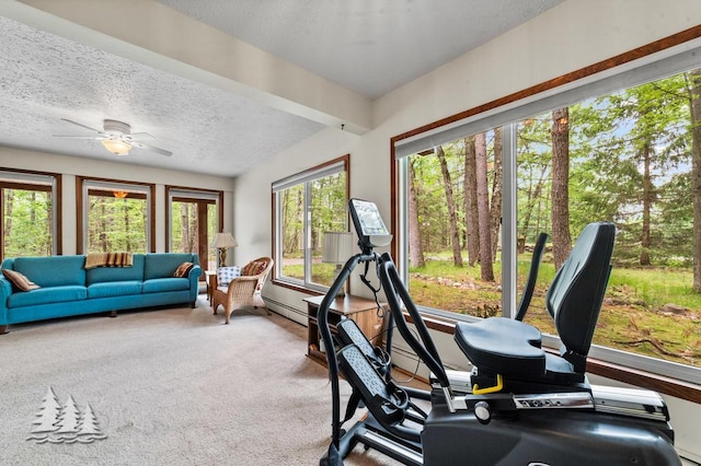 2801 Cobb Rd, Lewiston, MI 49756 - workout room with a textured ceiling and ceiling fan
