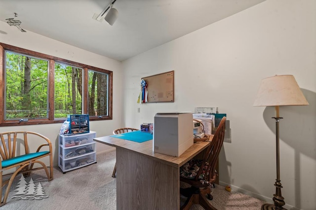 2801 Cobb Rd, Lewiston, MI 49756 - carpeted office with baseboards and track lighting