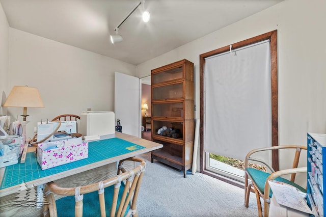 2801 Cobb Rd, Lewiston, MI 49756 - home office featuring carpet and rail lighting