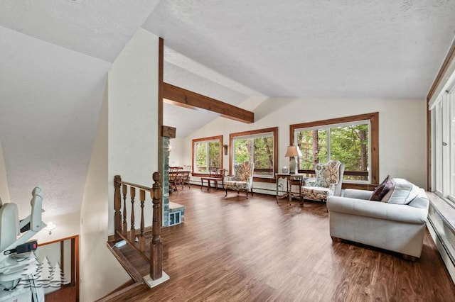 2801 Cobb Rd, Lewiston, MI 49756 - living area with a textured ceiling, lofted ceiling, wood finished floors, and a baseboard heating unit