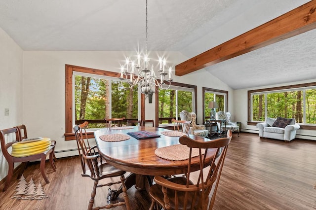 2801 Cobb Rd, Lewiston, MI 49756 - dining space featuring wood finished floors, a chandelier, a textured ceiling, and baseboard heating