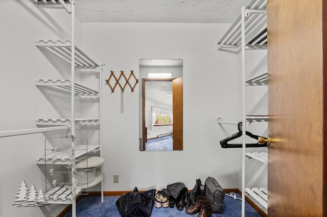 2801 Cobb Rd, Lewiston, MI 49756 - spacious closet featuring carpet flooring