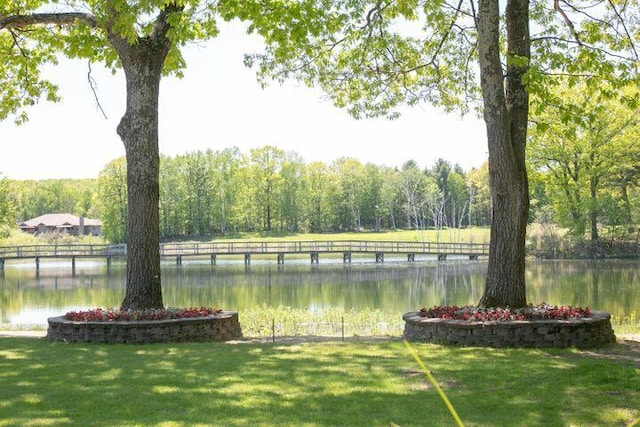 6850 Nightingale Dr, Gaylord, MI 49735 - photo 30