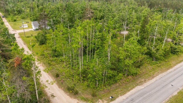 4122 Ranger Lake Rd, Gaylord, MI 49735 - photo 40