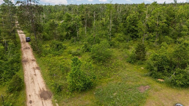 4122 Ranger Lake Rd, Gaylord, MI 49735 - photo 39