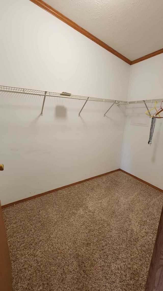 15135 M-32, Lachine, MI 49753 - spacious closet featuring carpet floors