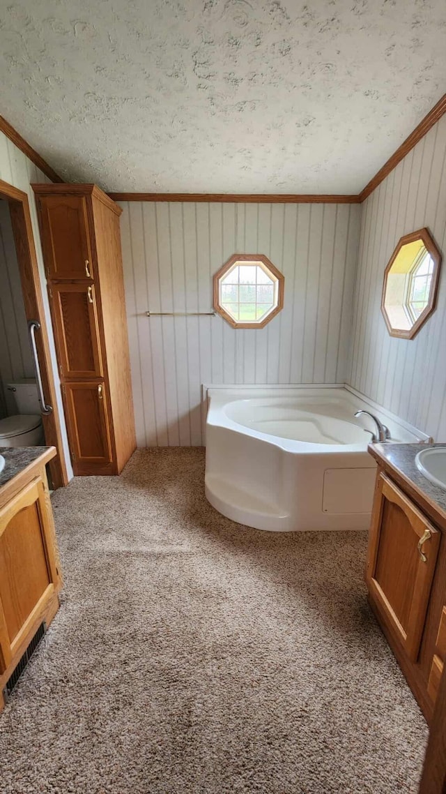 15135 M-32, Lachine, MI 49753 - bathroom with carpet floors, ornamental molding, vanity, a garden tub, and a textured ceiling
