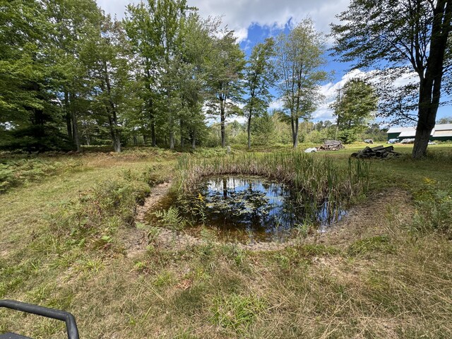 4039 Grass Lake Rd, Oscoda, MI 48750 - photo 32