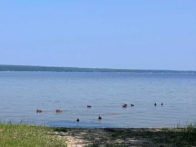 5ACRES N Black River Rd, Cheboygan, MI 49721 - photo 5