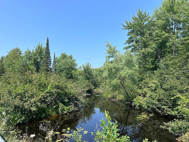 5ACRES N Black River Rd, Cheboygan, MI 49721 - photo 3